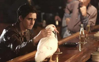 Poor Ziggy and his duck at the bar