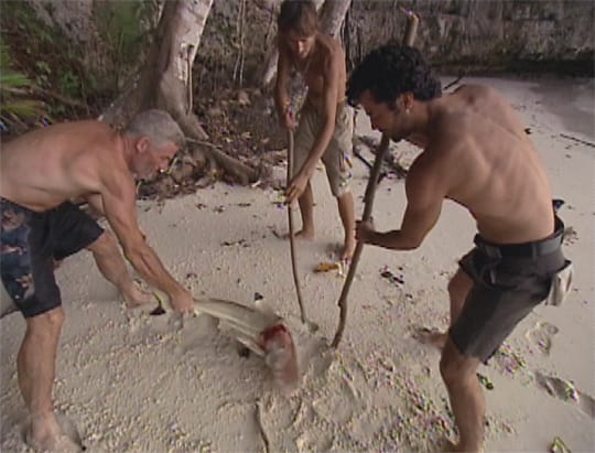 What was on TV? Thurs, March 31, 2005